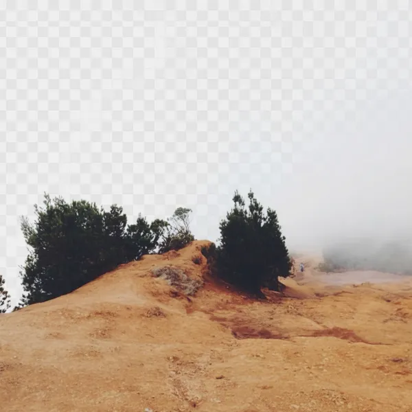 Background Remover — AI image tool